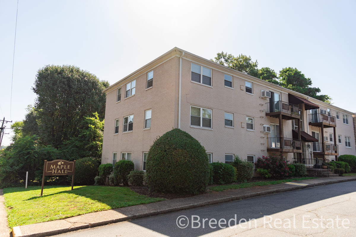 239  Maple Street